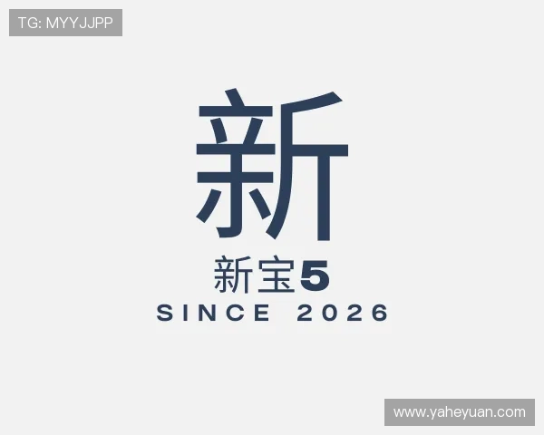 解读新宝5